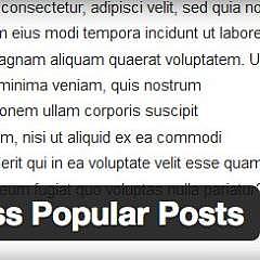 wpp.jpg