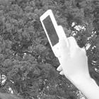 3careea_cording_icatch
