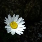 a1150_000596