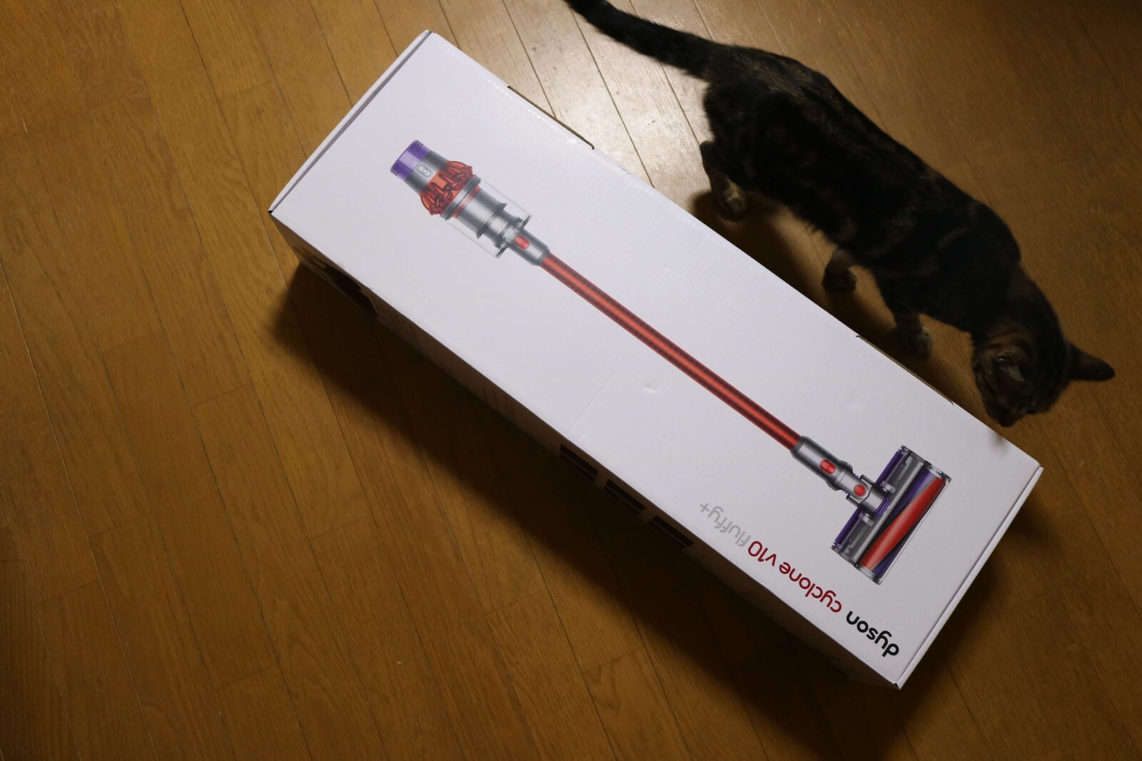 Dyson Cyclone v10 Fluffy+