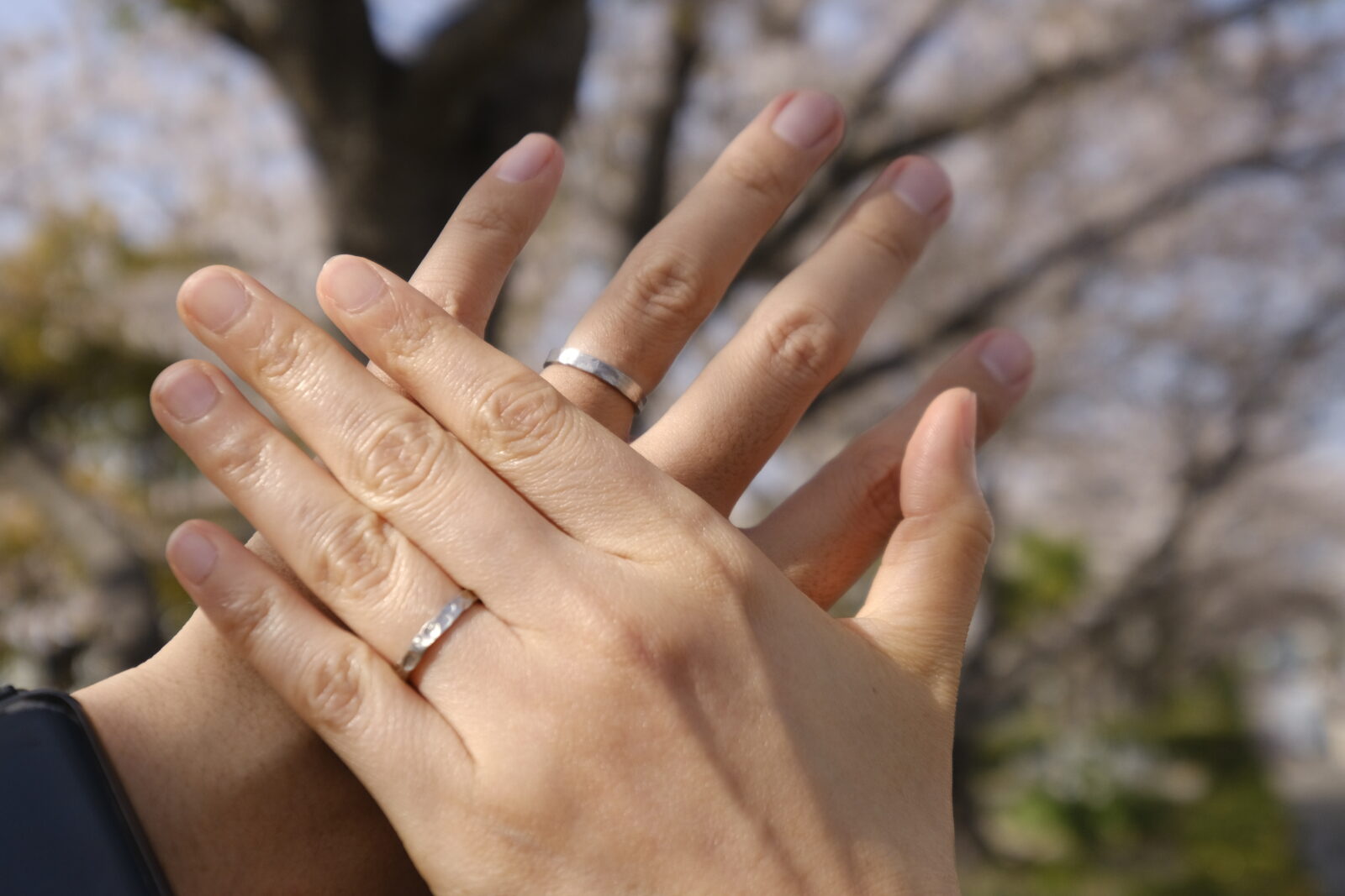 桜を背景に二人の結婚指輪